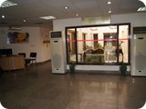 قاعات الانشطة